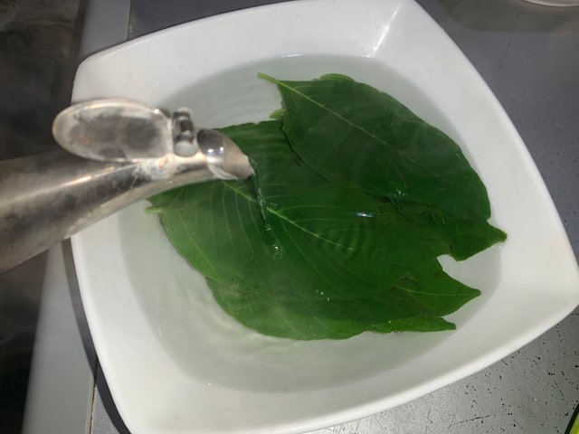 IMG_1905.jpeg