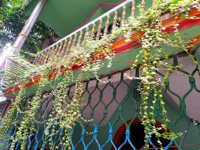 20250703_122128.jpg