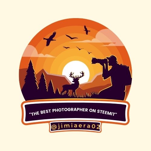 Brown Creative Digital Camera Photography Studio Logo.jpg