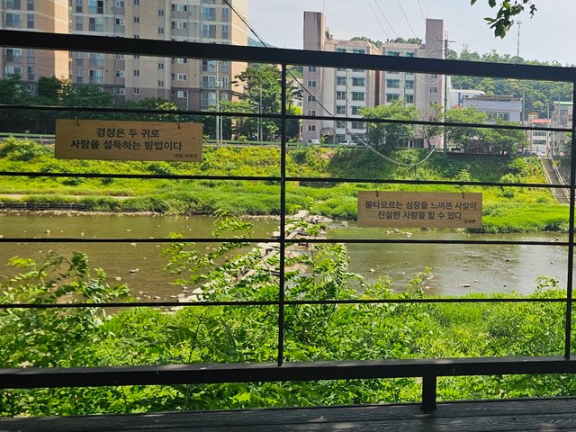 20250609_142100.jpg