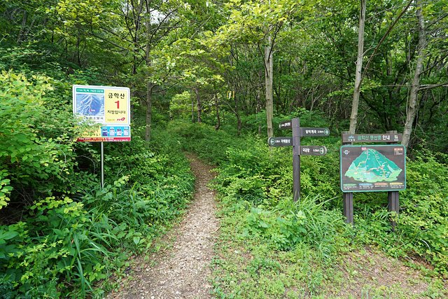 b-DSC07366.JPG