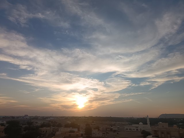 IMG_20241122_170359.jpg
