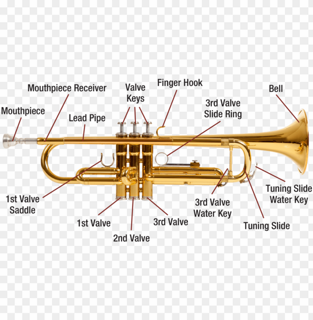 trumpet-diagram-image-labelled-diagram-of-a-trumpet-11562888091bqgbzlk9aa.png