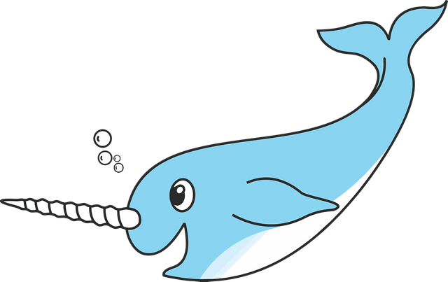 narwhal-3030167_1280.png