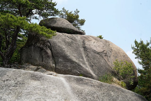 b-DSC02516.JPG