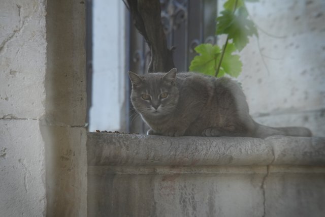 DSC07550.JPG