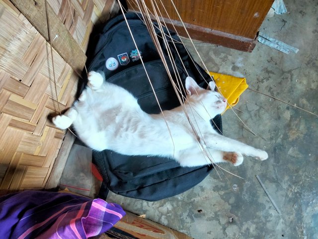 IMG20251010122642.jpg