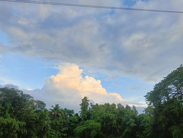 IMG20250703181512.jpg