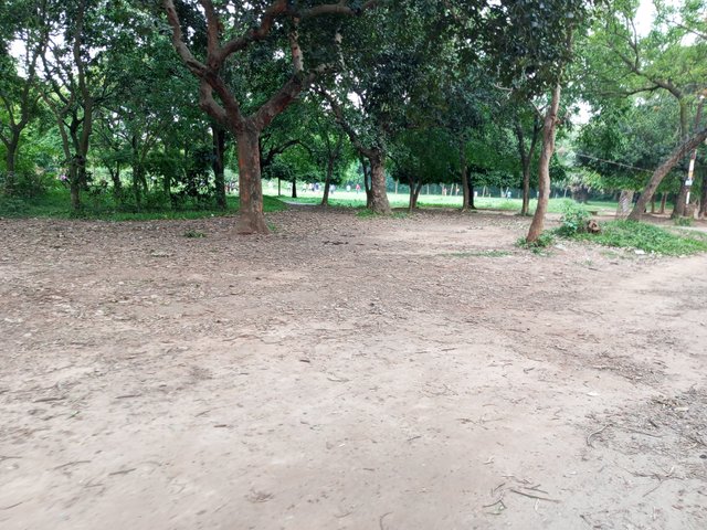 IMG_20240531_181317_541.jpg