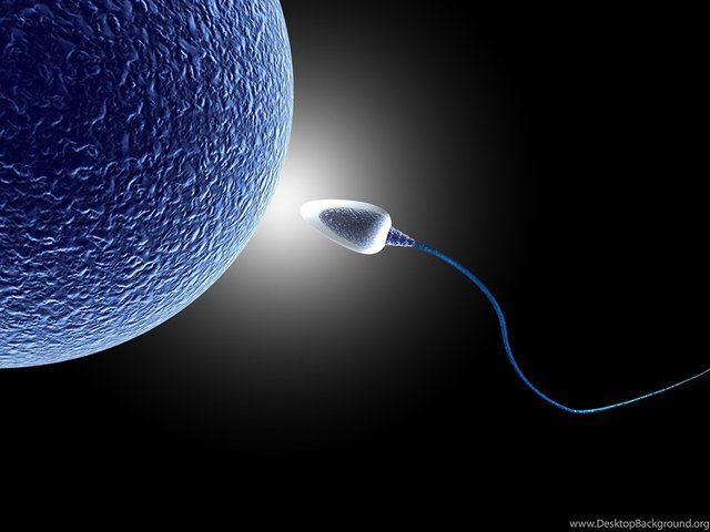 302988_sperm-abstraction-abstract-bokeh-life-sex-sexual-medical-dna-male_4000x3000_h.jpg