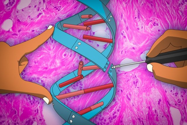 MIT-Micro-RNA_0.jpg