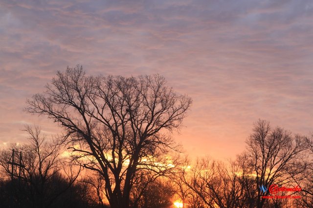 morning dawn sunrise golden-hour skyscape landscape IMG_0466.JPG