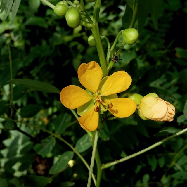 IMG_২০২২০৮১১_১১১৮১৯.jpg