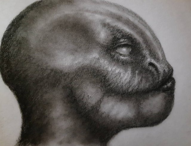 20250529_112533.jpg