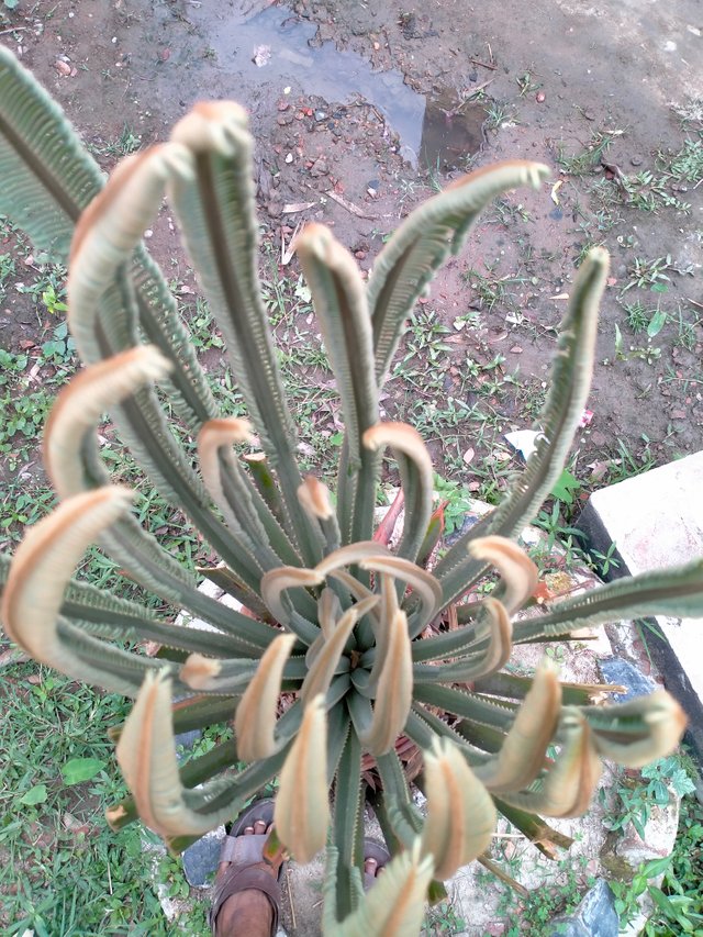 IMG20250416152436.jp