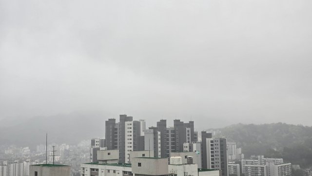 1000123534.jpg