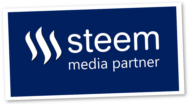 Steem Media Partner logo 2.png