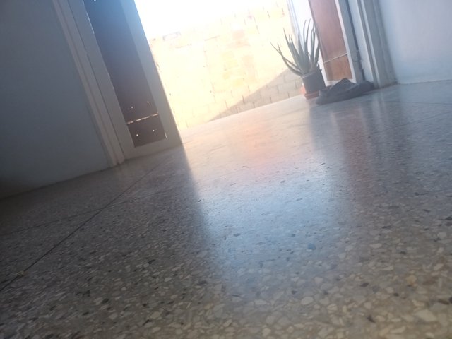 20250416_172027.jpg