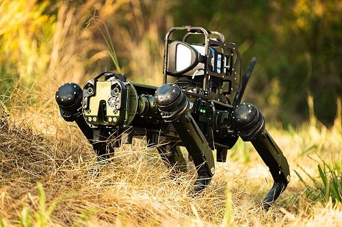 Robot_dog_at_Barksdale_Air_Force_Base.jpg