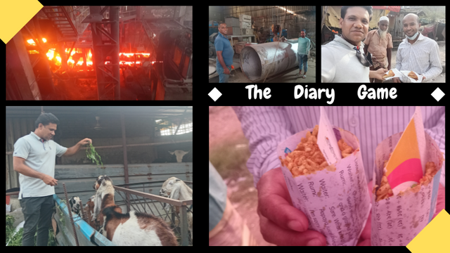The Diary Game.png