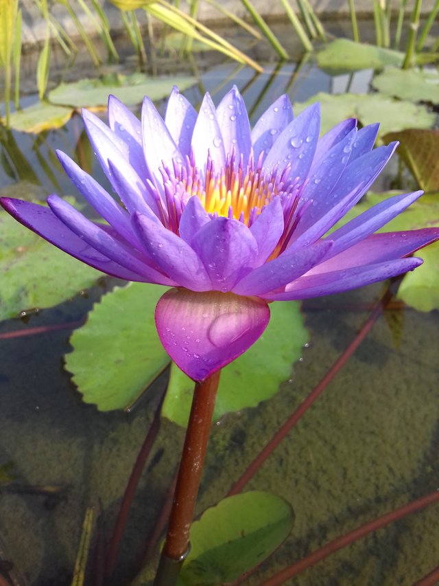 20201204_141636.jpg