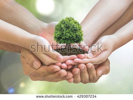 stock-photo-tree-planting-on-volunteer-family-s-hands-for-eco-friendly-and-corporate-social-responsibility-429307234.jpg