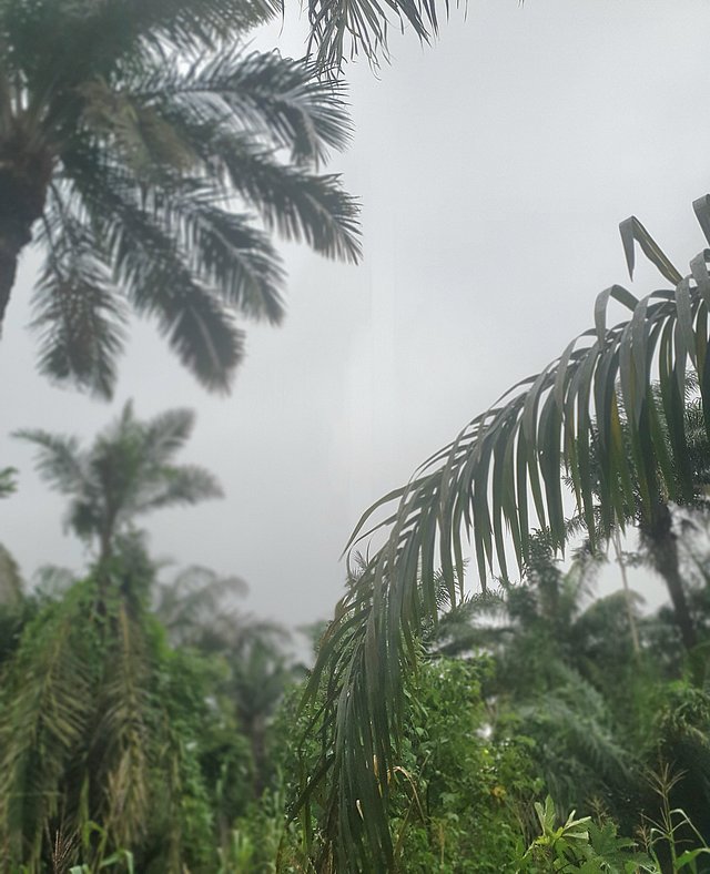 20250918_093348.jpg
