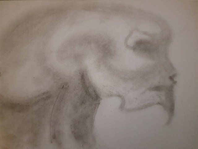 20250707_104312.jpg