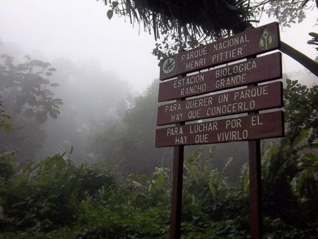 400-arboles-se-siembran-en-el-Parque-Nacional-Henri-Pittier-990x742.jpg