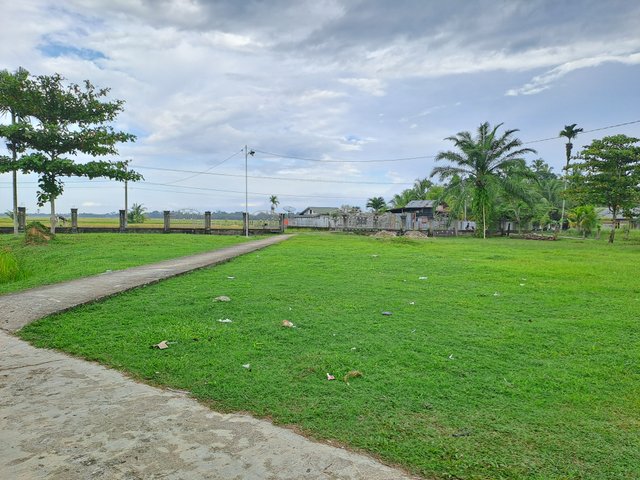 1000364654.jpg