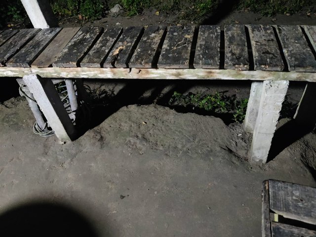 1000049456.jpg