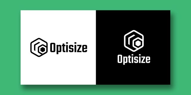 LOGO DESIGN_OPTISIZE PRESENTATION_2.jpg