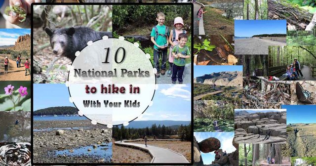 10 Best National Parks to Hike with Kids FBt.jpg