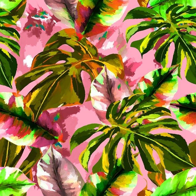 monstera-6400359_640.jpg