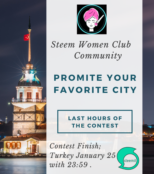 Steem Women Club Community.png