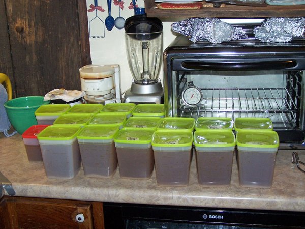 Chicken stock ready for freezer crop September 2019.jpg