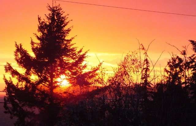 WLE0057-Sunset.jpg