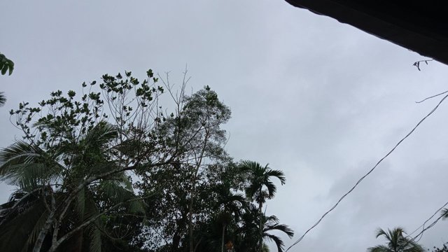 IMG_20250623_085932_053.jpg