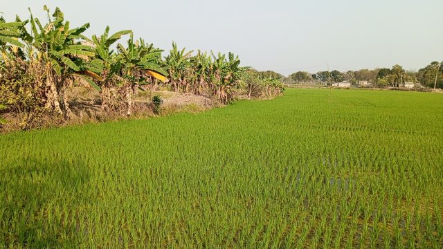 IMG_20240229_152232_0.jpg