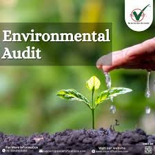 Environmental Audit - image.jpeg