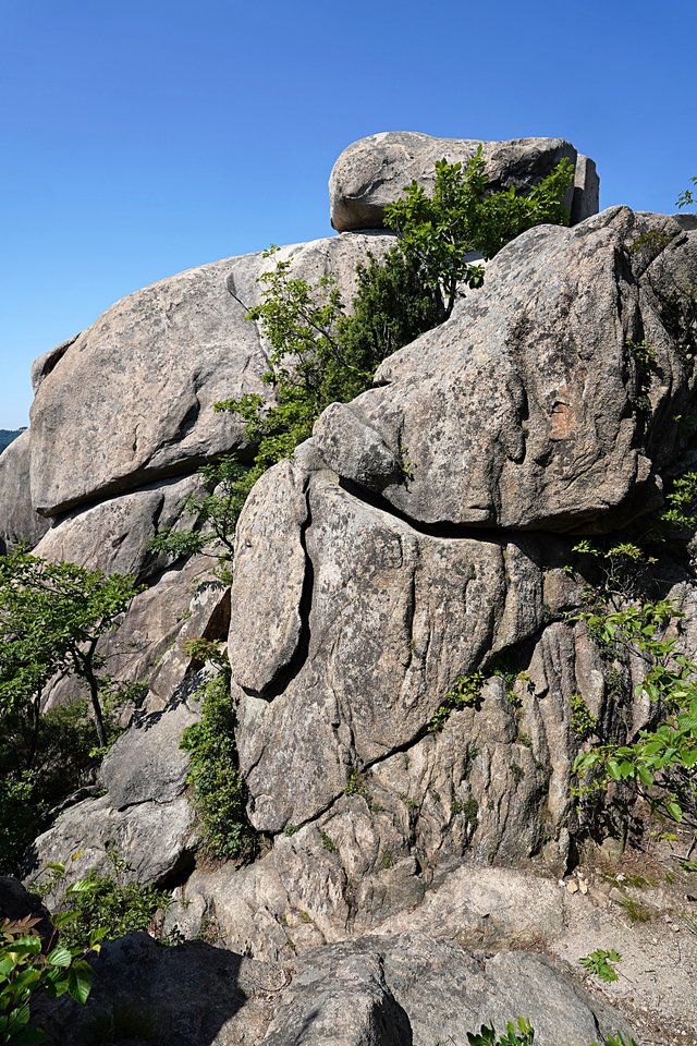 b-DSC04519.JPG