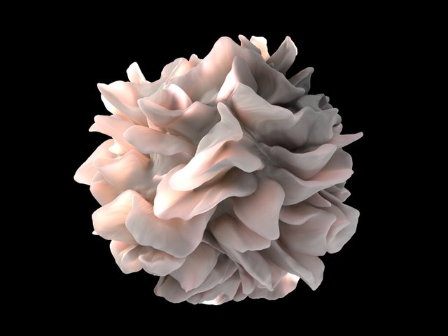 dentritic-cell-85577.jpg