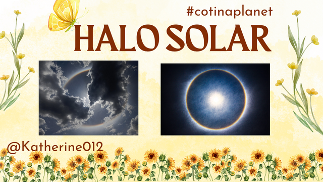 HALO SOLAR_20250208_194917_0000.png