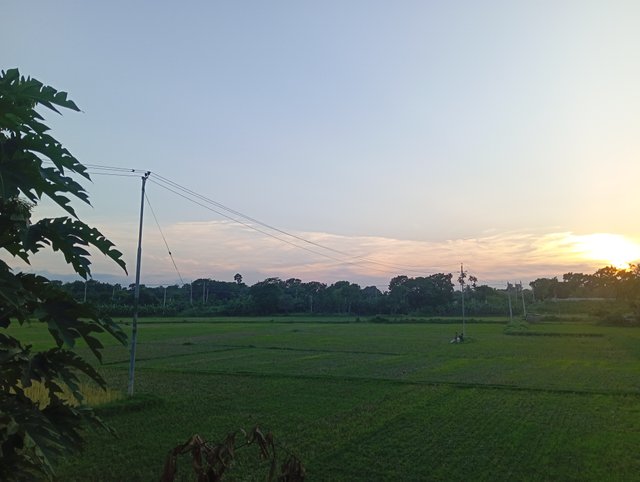 1000581565.jpg