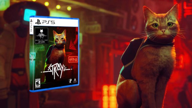 STRAY-PS5-Physical_06-08-22-768x432.jpg