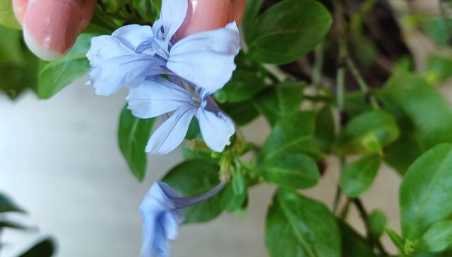 20250626_133530.jpg