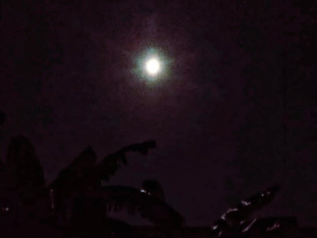 IMG_20220301_090444.jpg