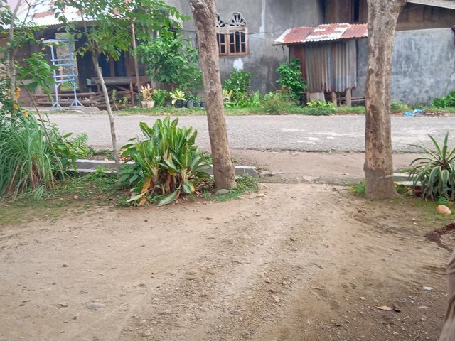 IMG20250908163235.jpg