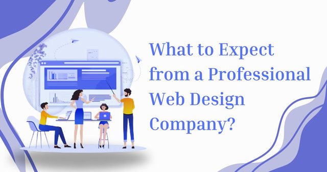 What to Expect from a Professional Web Design Company.jpg