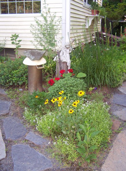 V garden - geranium, blackeyed susan, chrysanthemum, allyssum, liatris crop July 2018.jpg